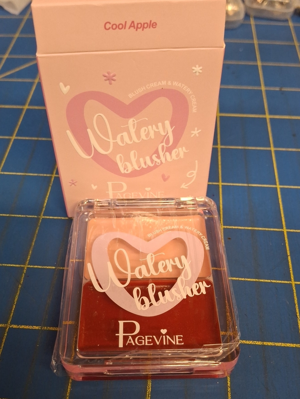 Pagevine Watery Blusher 10g New Sealed COOL APPLE